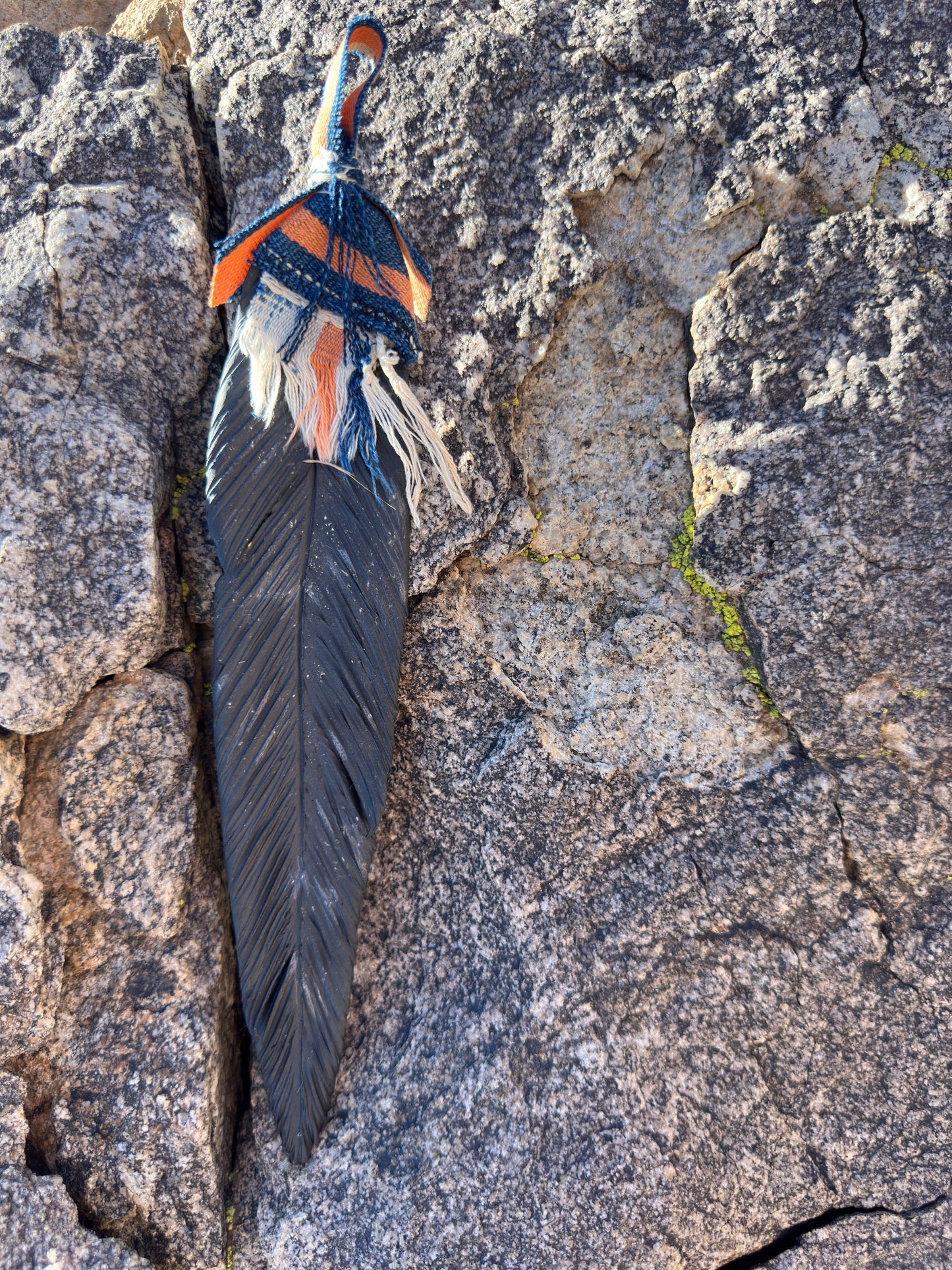 Raven Feathers - Dana Flores - Feathers