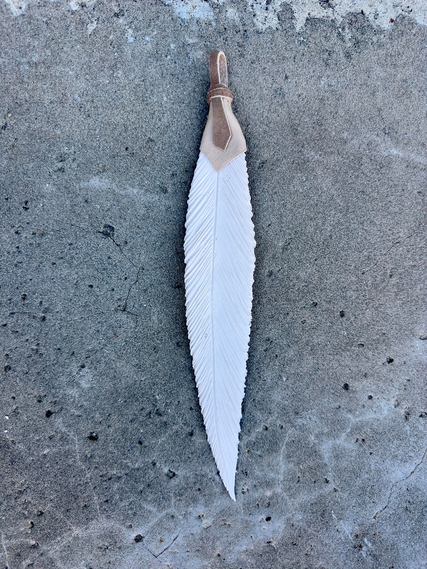 Raven Feathers - Dana Flores - Feathers